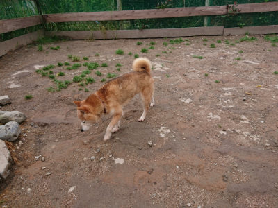 f:id:roukenhome-ann:20190521150634j:plain