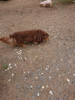f:id:roukenhome-ann:20190521150949j:plain