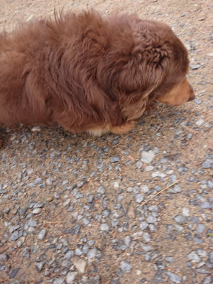f:id:roukenhome-ann:20190521151005j:plain