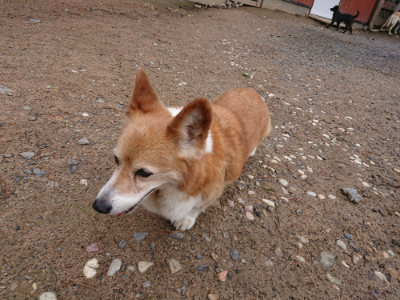 f:id:roukenhome-ann:20190521153719j:plain