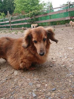 f:id:roukenhome-ann:20190521153836j:plain