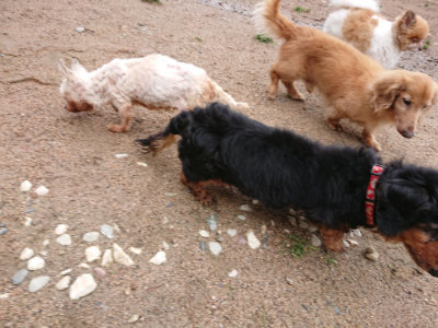 f:id:roukenhome-ann:20190521153852j:plain