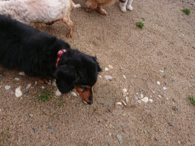 f:id:roukenhome-ann:20190521153916j:plain