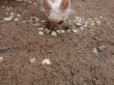 f:id:roukenhome-ann:20190521153922j:plain