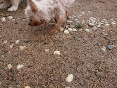 f:id:roukenhome-ann:20190521153945j:plain