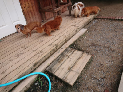 f:id:roukenhome-ann:20190521154003j:plain
