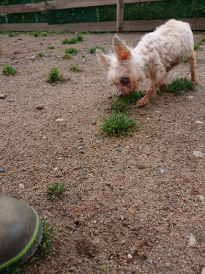 f:id:roukenhome-ann:20190521154008j:plain