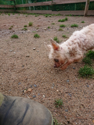 f:id:roukenhome-ann:20190521154031j:plain