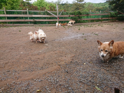 f:id:roukenhome-ann:20190521154043j:plain