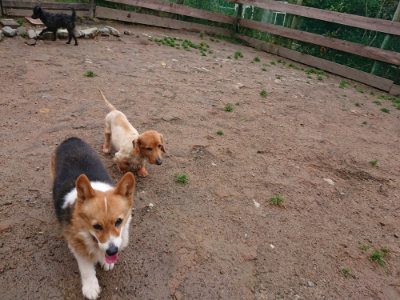 f:id:roukenhome-ann:20190521154048j:plain