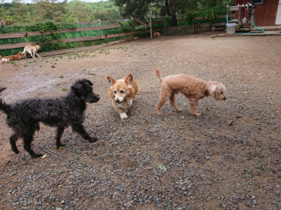 f:id:roukenhome-ann:20190521154100j:plain