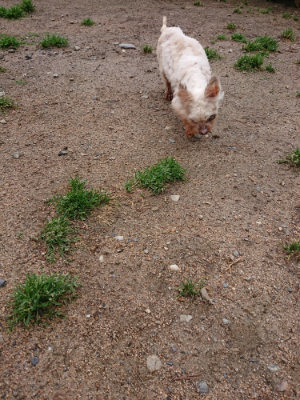 f:id:roukenhome-ann:20190521154123j:plain