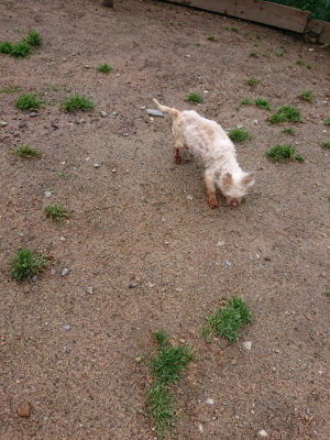 f:id:roukenhome-ann:20190521154146j:plain