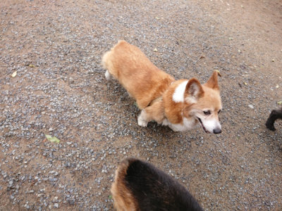 f:id:roukenhome-ann:20190521154157j:plain