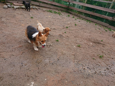 f:id:roukenhome-ann:20190521154212j:plain