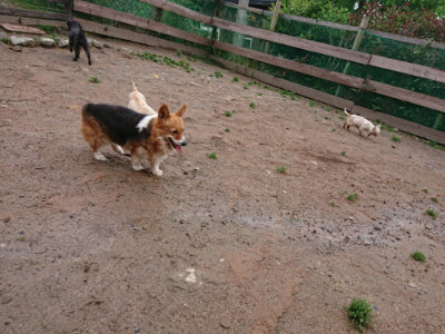 f:id:roukenhome-ann:20190521154228j:plain