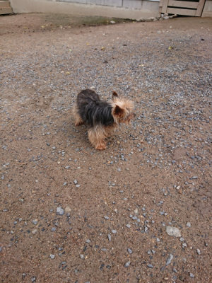 f:id:roukenhome-ann:20190521154247j:plain