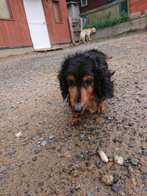 f:id:roukenhome-ann:20190521154255j:plain