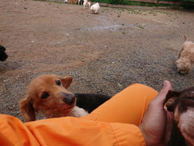 f:id:roukenhome-ann:20190521154307j:plain