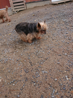 f:id:roukenhome-ann:20190521154404j:plain