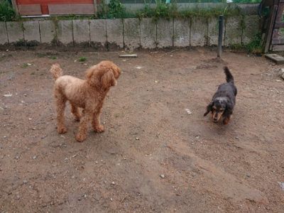 f:id:roukenhome-ann:20190521154425j:plain