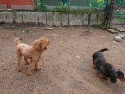 f:id:roukenhome-ann:20190521154430j:plain