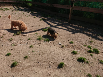 f:id:roukenhome-ann:20190524084549j:plain