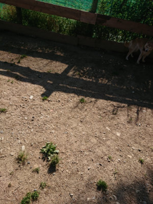 f:id:roukenhome-ann:20190524084554j:plain