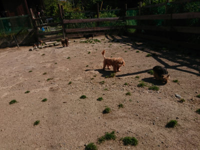 f:id:roukenhome-ann:20190524084558j:plain