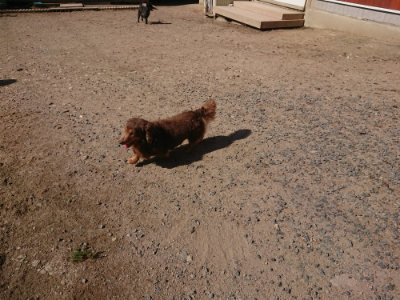 f:id:roukenhome-ann:20190524084617j:plain