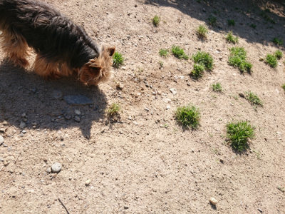 f:id:roukenhome-ann:20190524084700j:plain