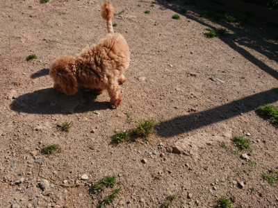 f:id:roukenhome-ann:20190524084716j:plain
