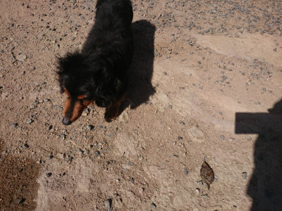 f:id:roukenhome-ann:20190524084729j:plain
