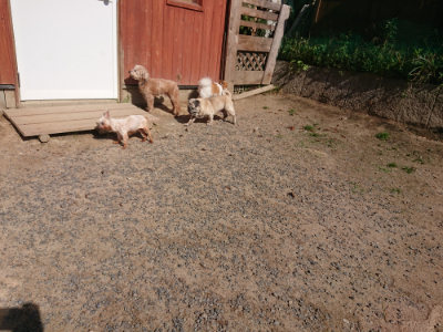 f:id:roukenhome-ann:20190524084734j:plain