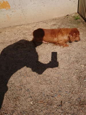 f:id:roukenhome-ann:20190524084740j:plain