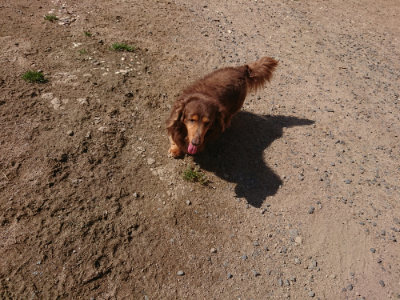 f:id:roukenhome-ann:20190524084801j:plain