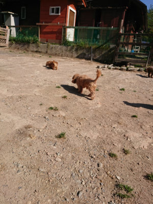f:id:roukenhome-ann:20190524084811j:plain