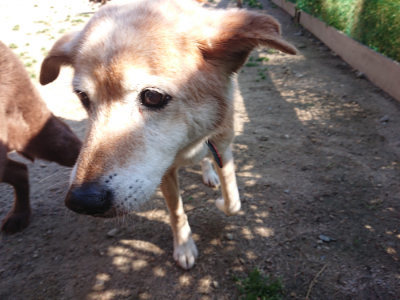 f:id:roukenhome-ann:20190524084816j:plain