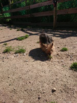 f:id:roukenhome-ann:20190524084827j:plain