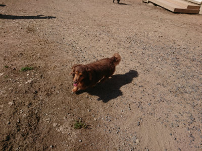 f:id:roukenhome-ann:20190524084841j:plain