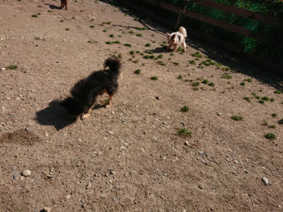 f:id:roukenhome-ann:20190524084847j:plain