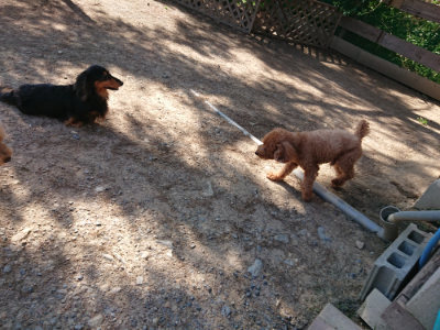 f:id:roukenhome-ann:20190524084905j:plain