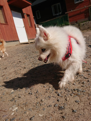 f:id:roukenhome-ann:20190524084916j:plain