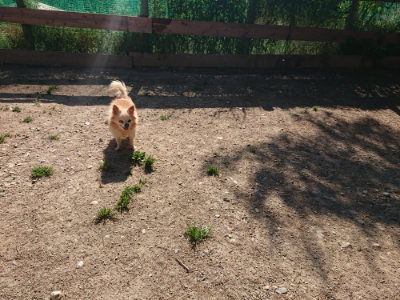 f:id:roukenhome-ann:20190524084922j:plain