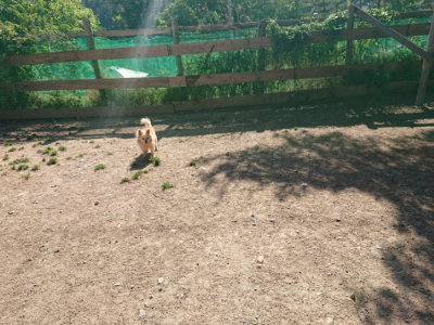 f:id:roukenhome-ann:20190524084947j:plain