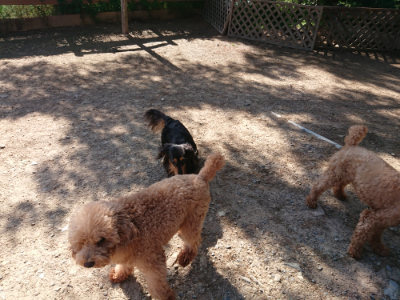 f:id:roukenhome-ann:20190524085011j:plain