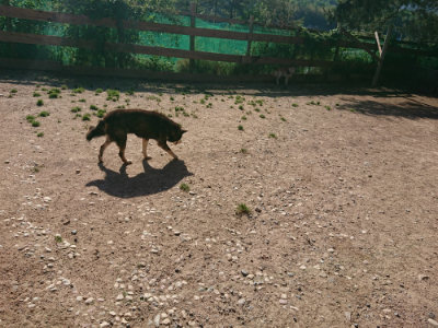 f:id:roukenhome-ann:20190524085018j:plain
