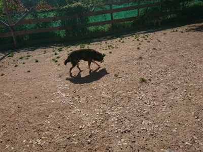 f:id:roukenhome-ann:20190524085034j:plain
