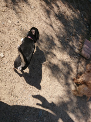 f:id:roukenhome-ann:20190524085044j:plain