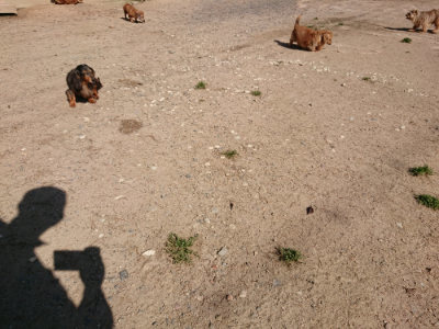 f:id:roukenhome-ann:20190524085049j:plain